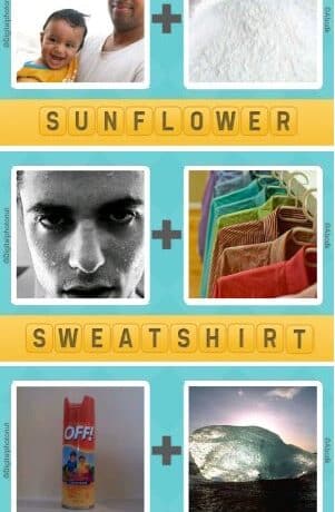 Pictoword Level 101 105 Answers 8604582
