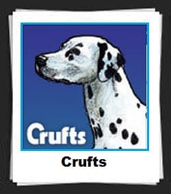 100 Pics Crufts Answers 6832960