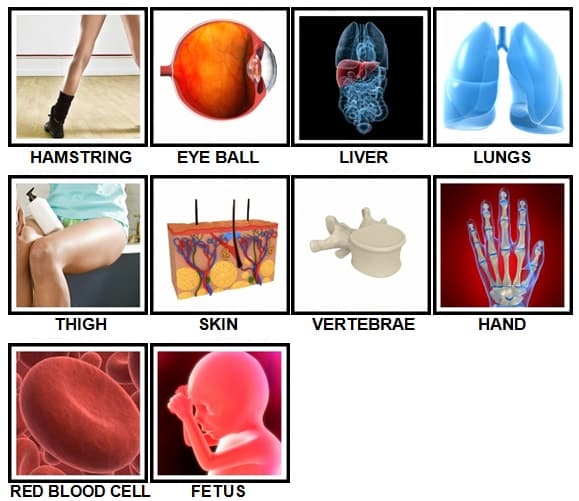 100-pics-body-parts-level-51-100-answers-2
